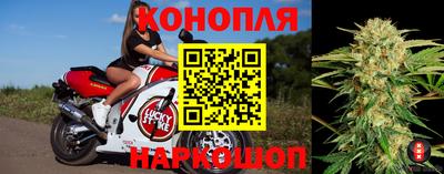 прущие грибы Сланцы