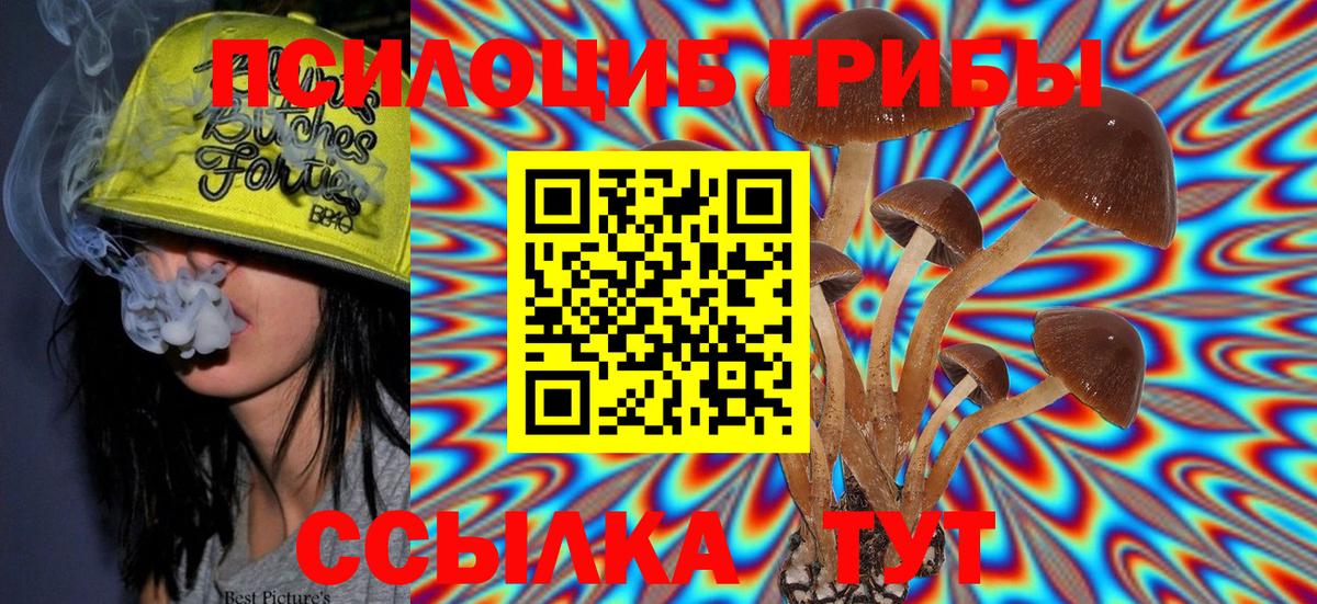 Орёл  Галлюциногенные грибы Magic Shrooms  Вход с VPN  Псилоцибиновые грибы Magic Shrooms 